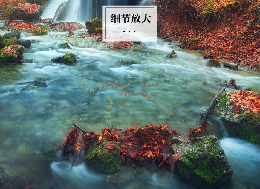 手指大拇指麻木什么原因游戏画面